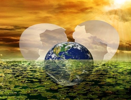 Rückverbindung zum Universum und uns selbst